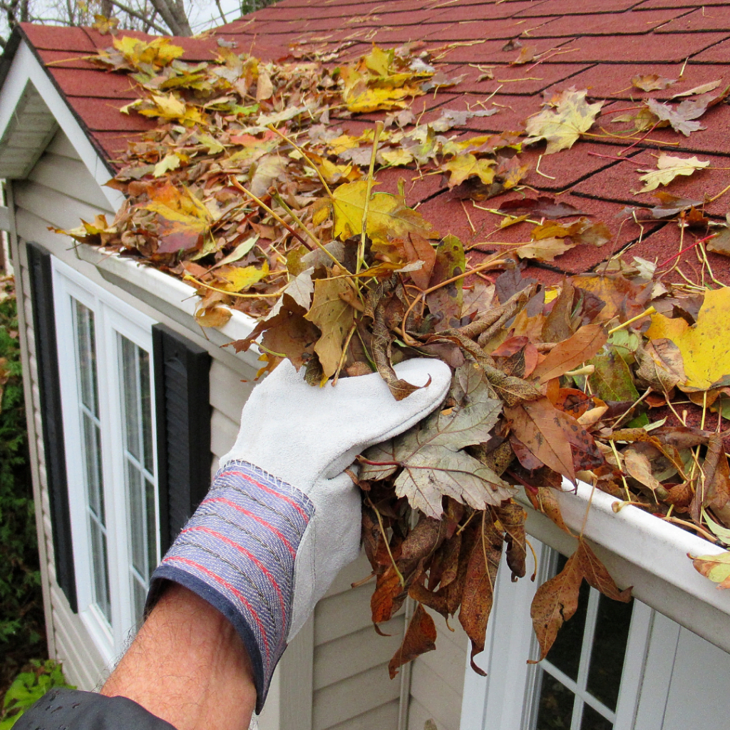 Senior living having to clear gutters